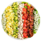 menu-starter-2